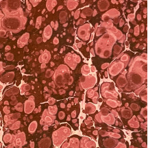 Hand Marbled Paper Stone Marble Pattern in Burgundy and Pink ~ Berretti Marbled Arts